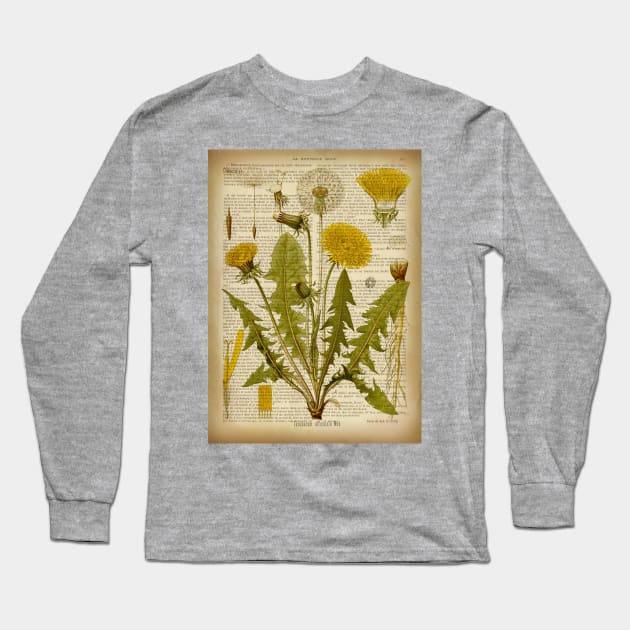 Botanical print, on old book page - Dandelion Long Sleeve T-Shirt by ArtDreamStudio